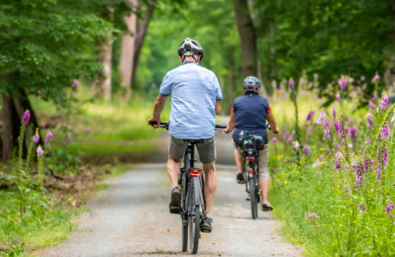 Fietsroute Ooltgensplaat